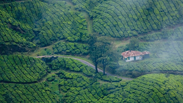 Munnar- Places To Visit in Kerala