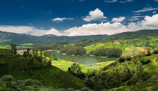 Ooty, Tamil Nadu - 